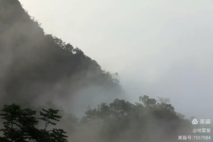 淡日朦胧初破晓